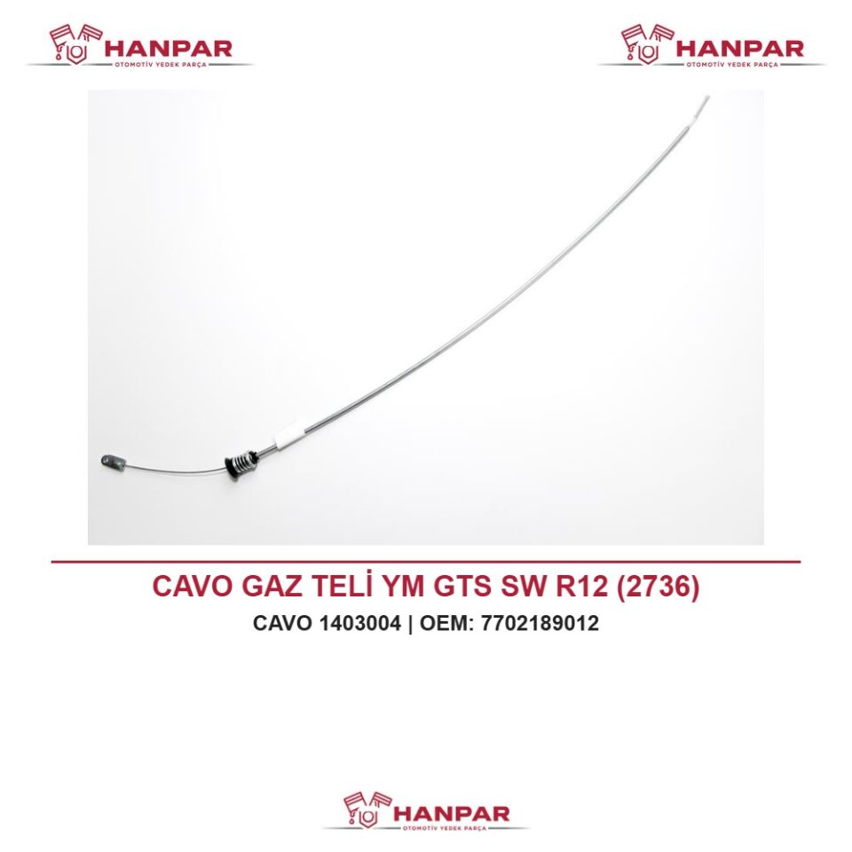 CAVO GAZ TELİ YM GTS SW R12 (2736)
