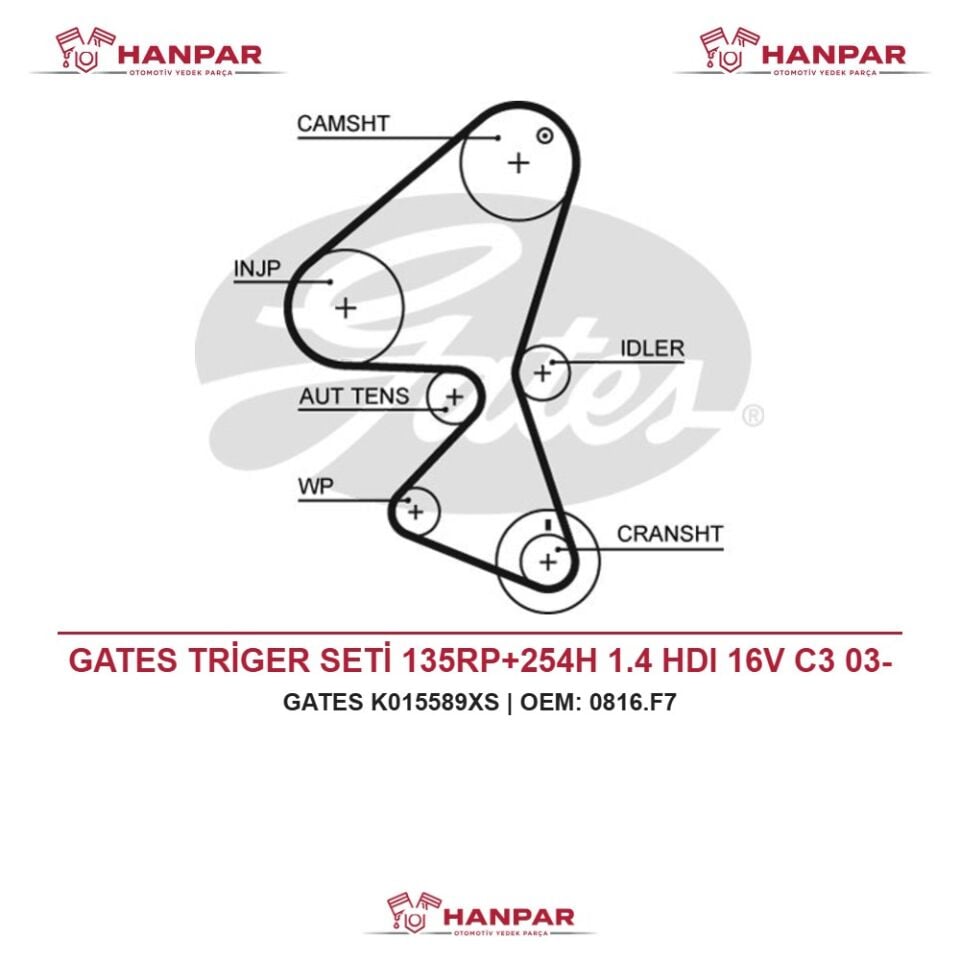 GATES TRİGER SETİ 135RP+254H 1.4 HDI 16V C3 03-