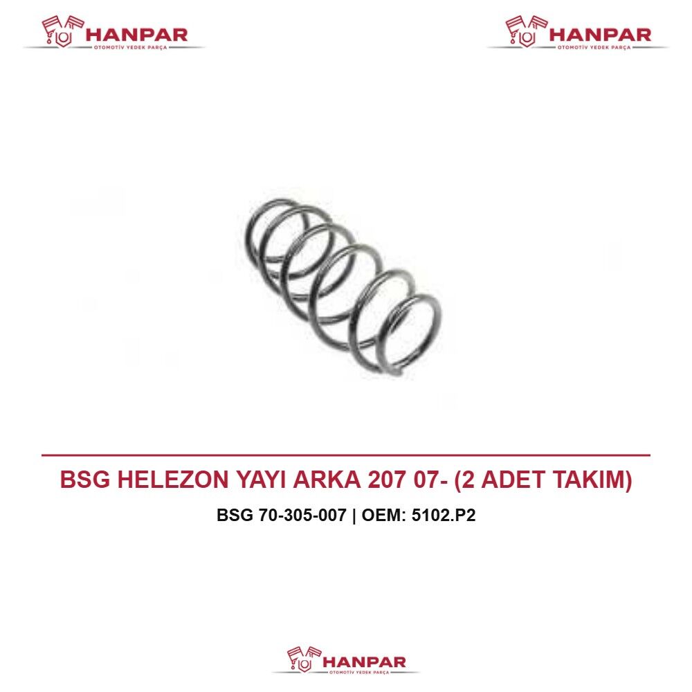 BSG HELEZON YAYI ARKA 207 07- (2 ADET TAKIM)