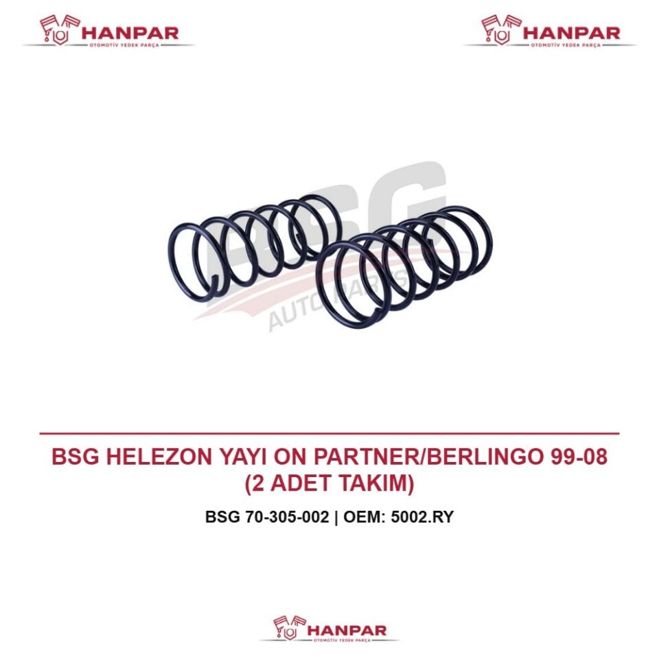 BSG HELEZON YAYI ON PARTNER/BERLINGO 99-08 (2 ADET TAKIM)
