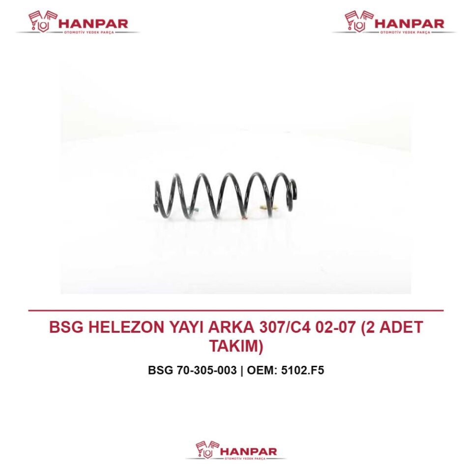 BSG HELEZON YAYI ARKA 307/C4 02-07 (2 ADET TAKIM)