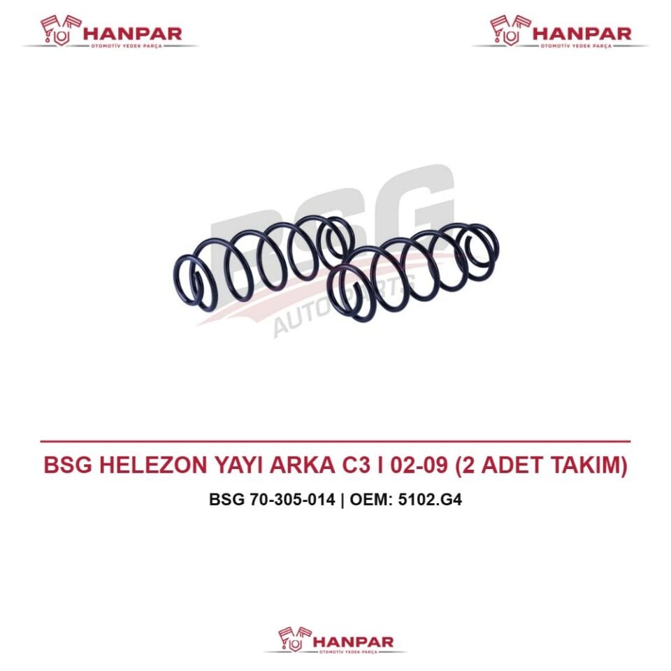 BSG HELEZON YAYI ARKA C3 I 02-09 (2 ADET TAKIM)