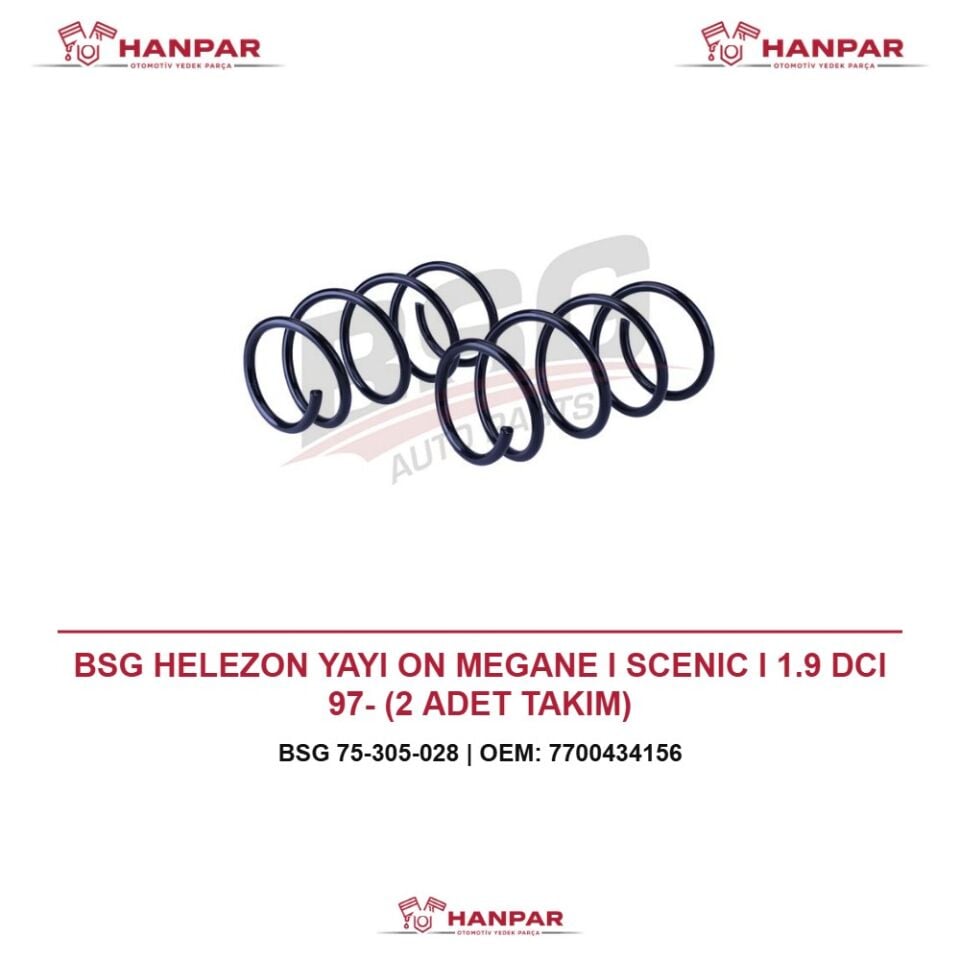 BSG HELEZON YAYI ON MEGANE I SCENIC I 1.9 DCI 97- (2 ADET TAKIM)