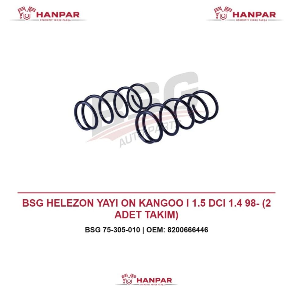BSG HELEZON YAYI ON KANGOO I 1.5 DCI 1.4 98- (2 ADET TAKIM)