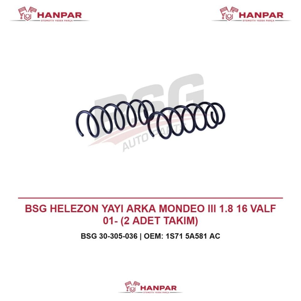 BSG HELEZON YAYI ARKA MONDEO III 1.8 16 VALF 01- (2 ADET TAKIM)