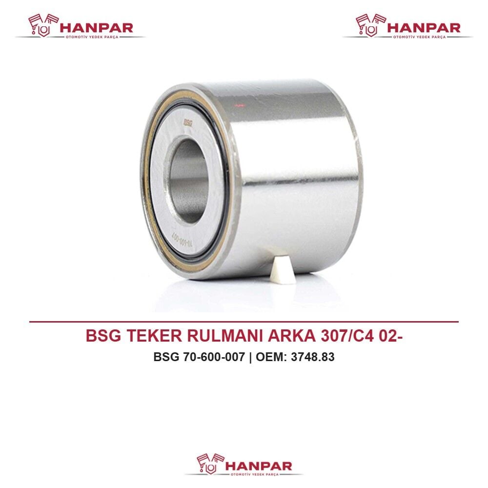 BSG TEKER RULMANI ARKA 307/C4 02-