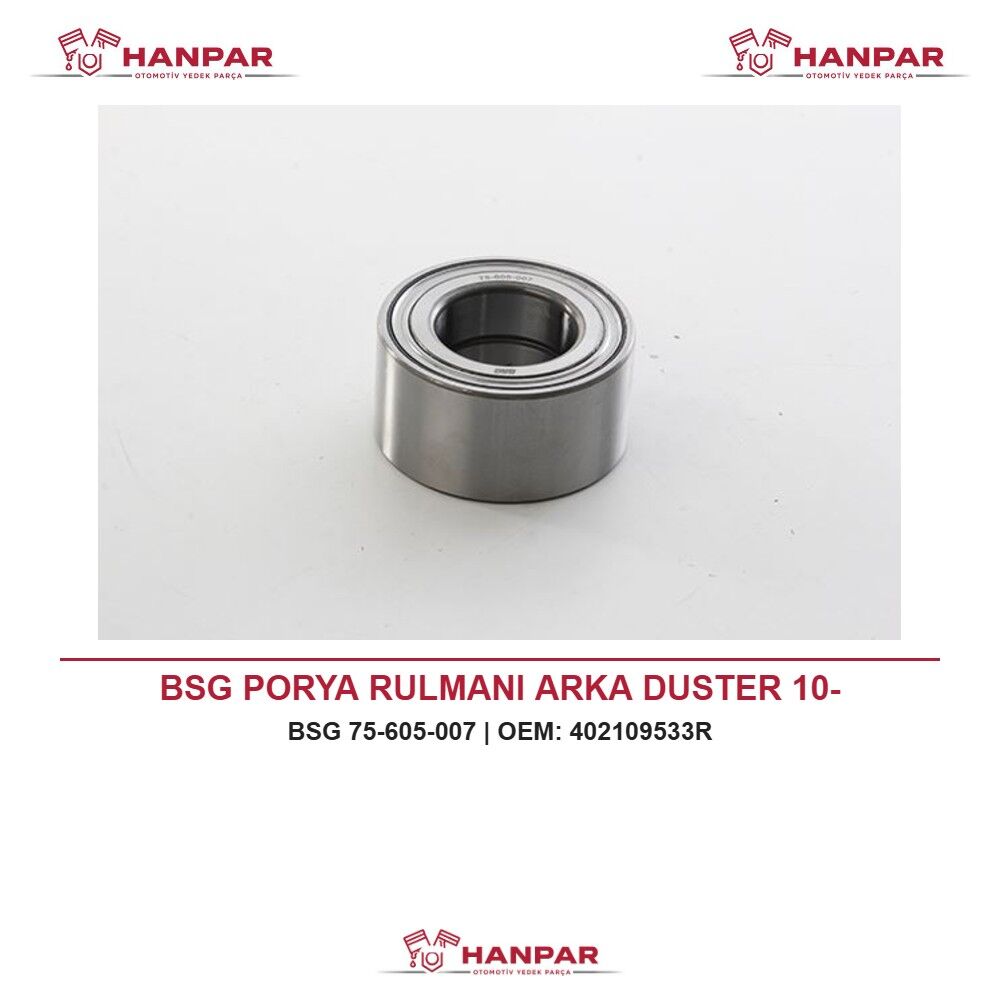 BSG PORYA RULMANI ARKA DUSTER 10-