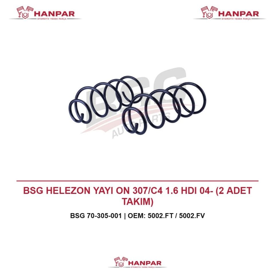 BSG HELEZON YAYI ON 307/C4 1.6 HDI 04- (2 ADET TAKIM)