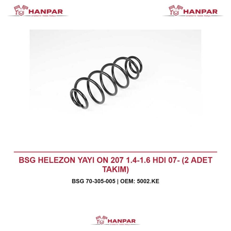 BSG HELEZON YAYI ON 207 1.4-1.6 HDI 07- (2 ADET TAKIM)