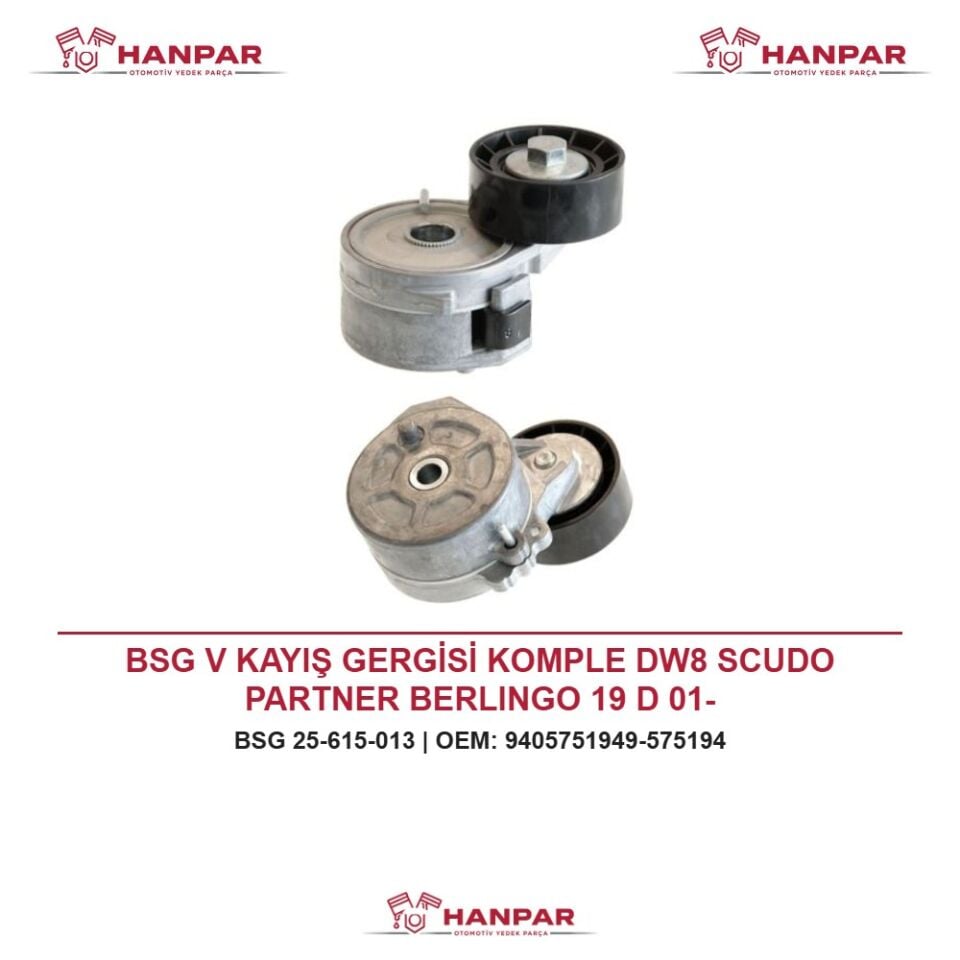 BSG V KAYIŞ GERGİSİ KOMPLE DW8 SCUDO PARTNER BERLINGO 19 D 01-