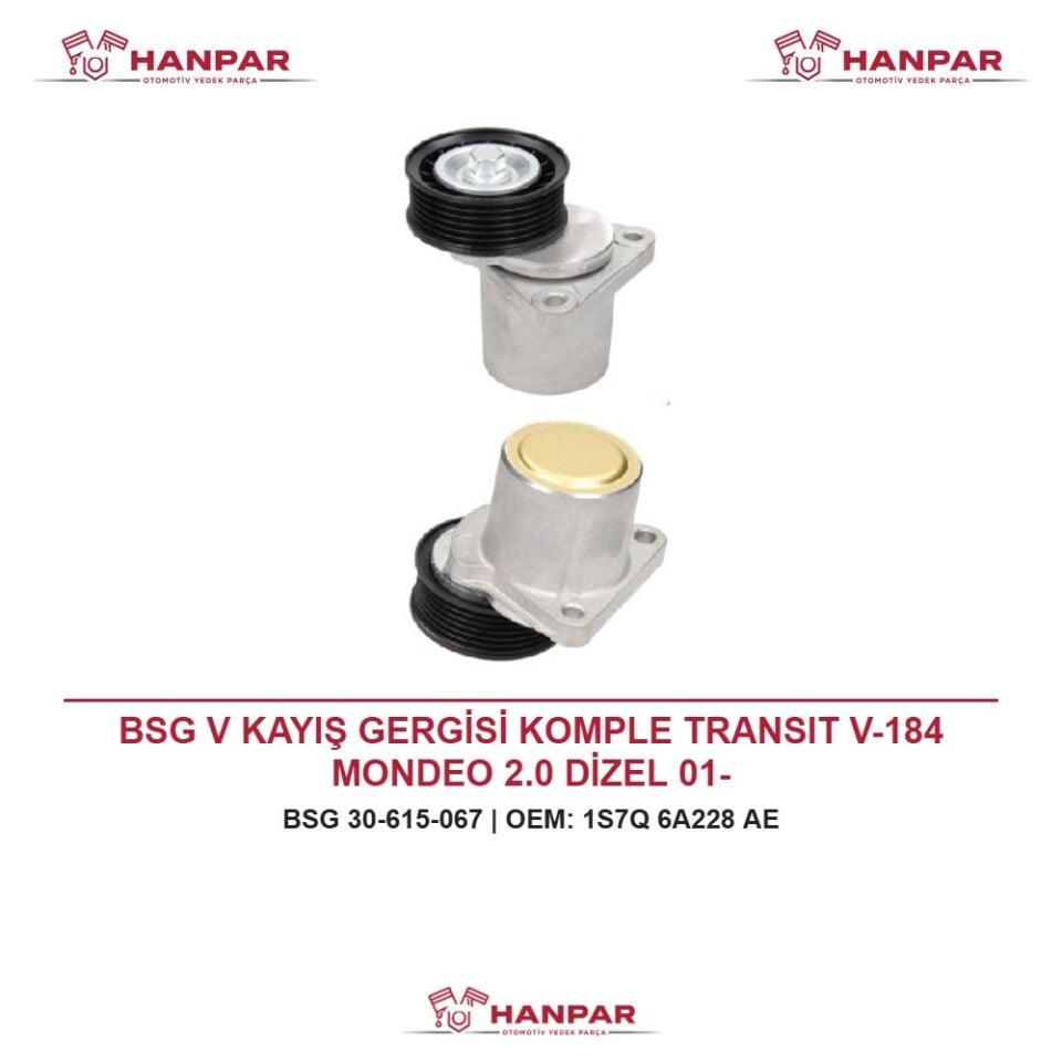 BSG V KAYIŞ GERGİSİ KOMPLE TRANSIT V-184 MONDEO 2.0 DİZEL 01-
