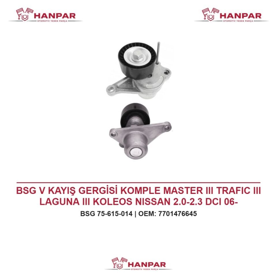 BSG V KAYIŞ GERGİSİ KOMPLE MASTER III TRAFIC III LAGUNA III KOLEOS NISSAN 2.0-2.3 DCI 06-