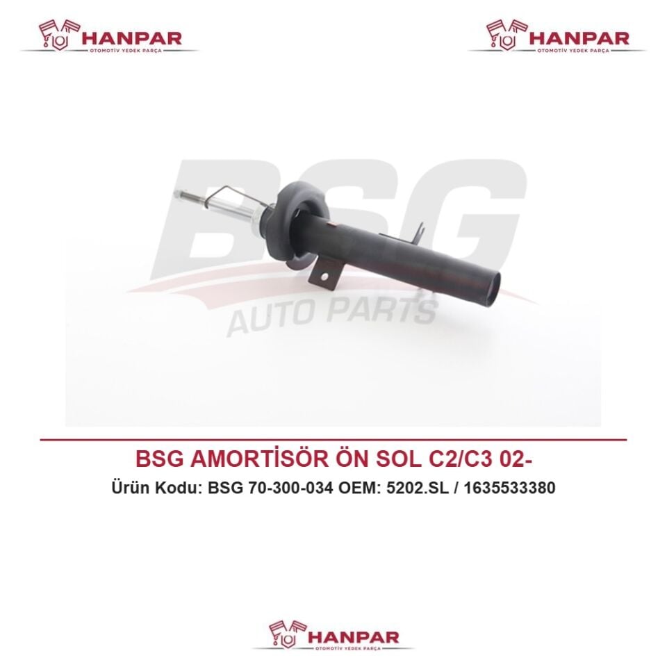 BSG AMORTİSÖR ÖN SOL C2/C3 02-
